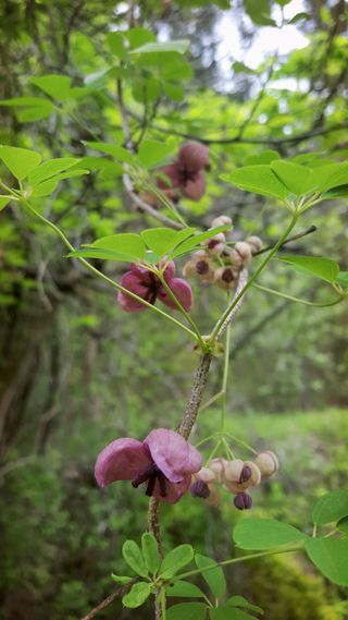 농사꾼 단비님의 우리동네 · 동네수다 작성글 사진