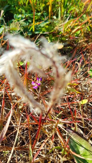 농사꾼 단비님의 우리동네 · 동네수다 작성글 사진