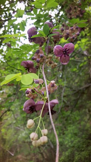 농사꾼 단비님의 우리동네 · 동네수다 작성글 사진