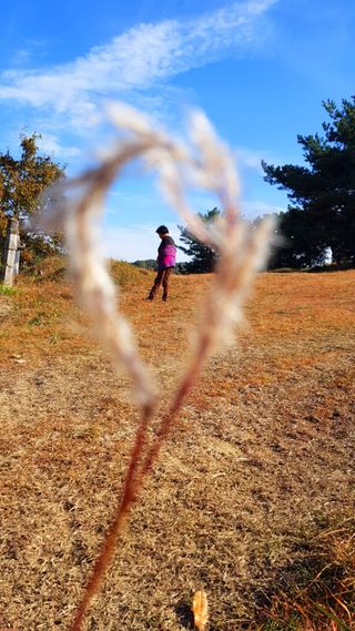 농사꾼 단비님의 우리동네 · 동네수다 작성글 사진