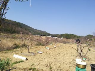 초보농부님의 자유주제 · 사진전 작성글 사진