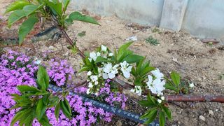 알 수 없음님의 사과 · 일상 작성글 사진