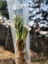 팜모닝 자유주제·사진전 게시글 이미지