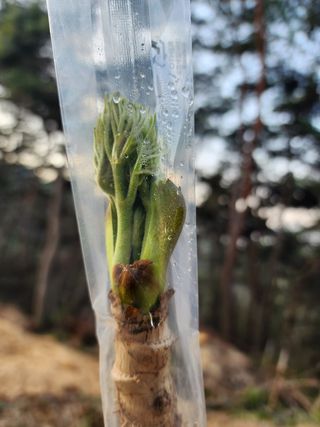 이근배님의 자유주제 · 사진전 작성글 사진