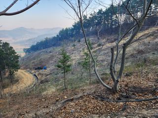 이근배님의 자유주제 · 사진전 작성글 사진