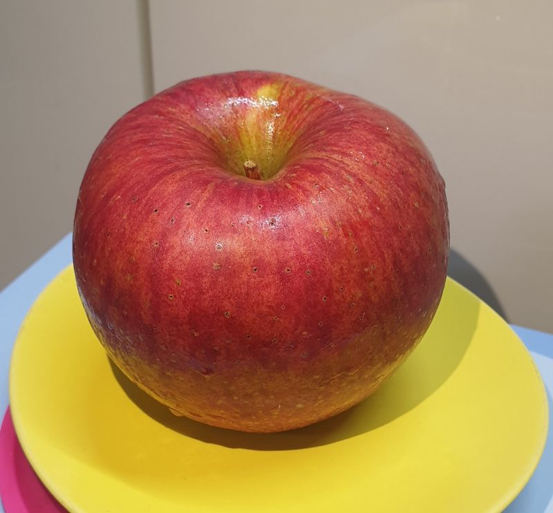 장터 상품 [🍎 🍏  사과즙 50포 (짱)] 썸네일