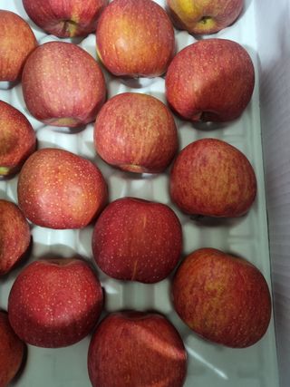 사과와곶감님의 사과 · 시세•판로 작성글 사진