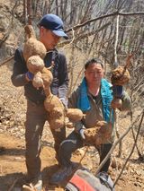팜모닝 자유주제·자유게시판 게시글 이미지