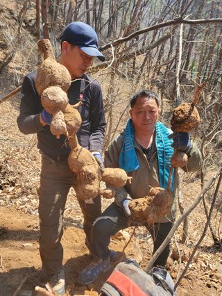 장기수님의 자유주제 · 자유게시판 작성글 사진