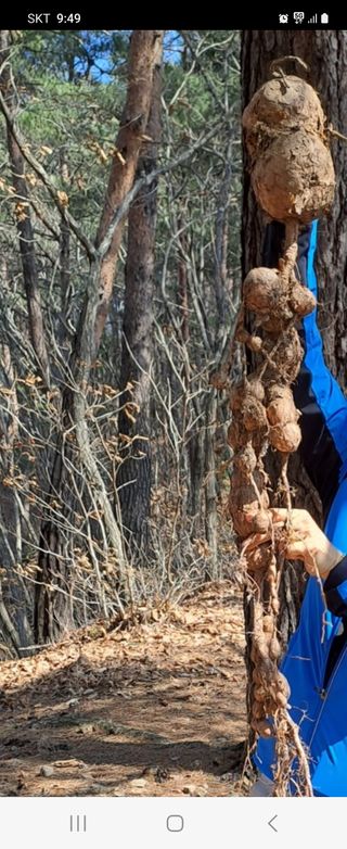 장기수님의 자유주제 · 자유게시판 작성글 사진