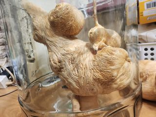 장기수님의 자유주제 · 자유게시판 작성글 사진