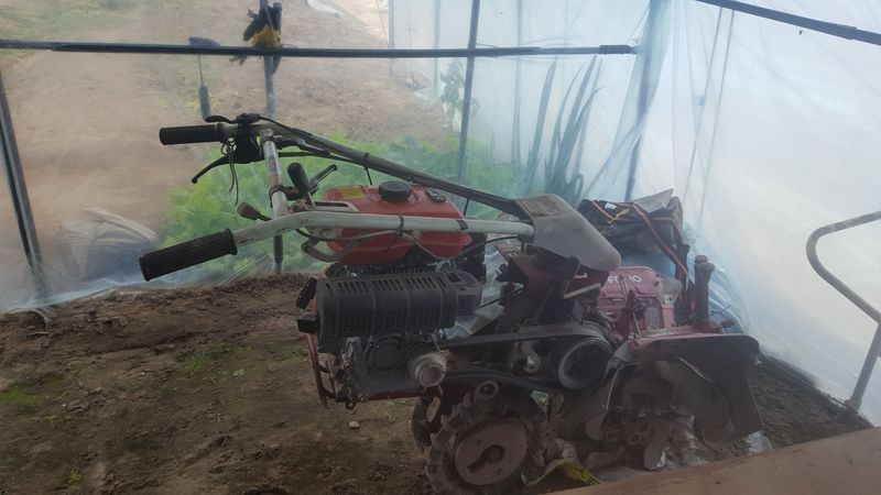 장터 상품 [당근20t] 썸네일