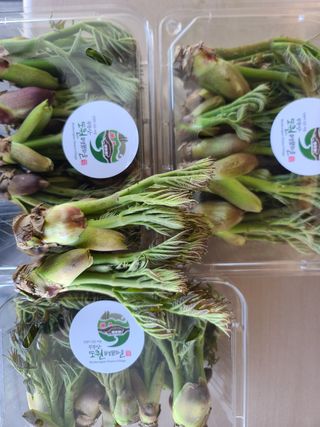 주대성님의 작성글 사진