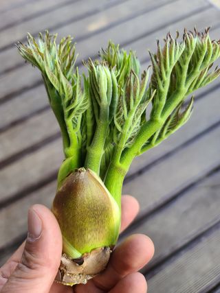 주대성님의 작성글 사진