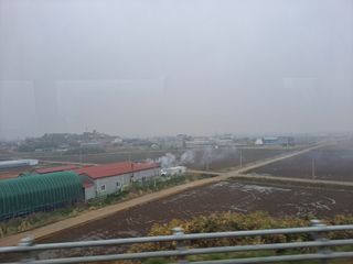 사천시향촌동 돼지띠님의 벼 · 자유게시판 작성글 사진