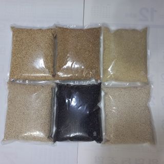 서동님의 작성글 사진