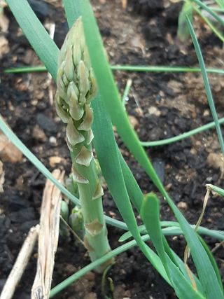 새리님의 기타작물 · 자유게시판 작성글 사진