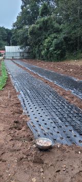 팜모닝 배추·토양준비 게시글 이미지