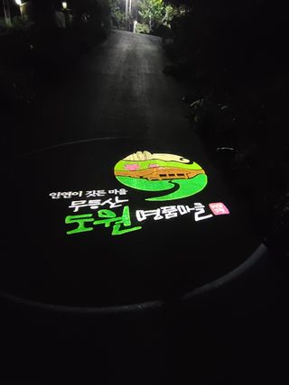 주대성님의 두릅 · 수확 작성글 사진