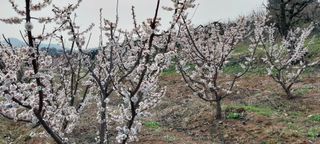 감자7294님의 자유주제 · 자유게시판 작성글 사진