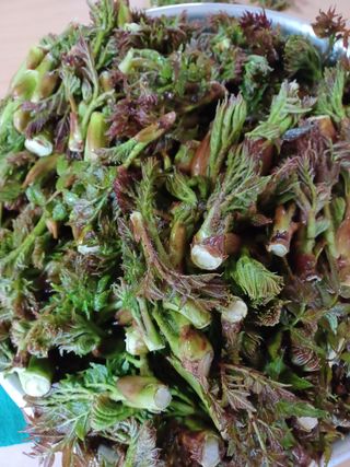 알 수 없음님의 기타작물 · 자유게시판 작성글 사진