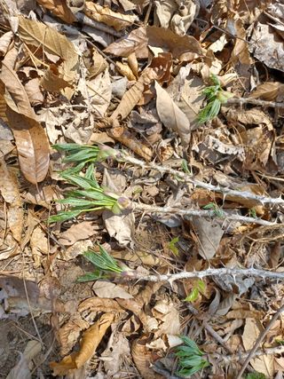 알 수 없음님의 기타작물 · 자유게시판 작성글 사진