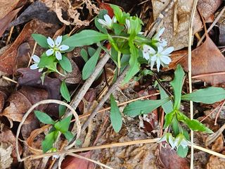 정완희 님의 기타작물 · 자유게시판 작성글 사진
