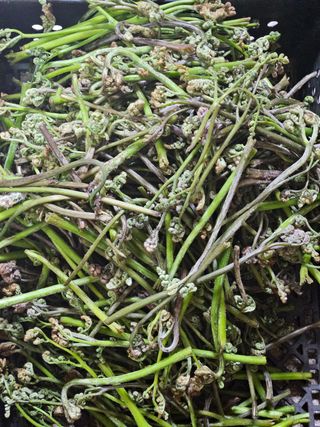 정완희 님의 기타작물 · 자유게시판 작성글 사진