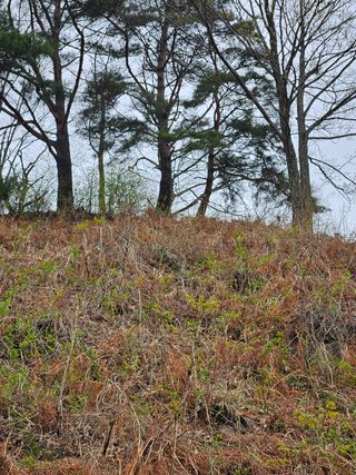정완희 님의 기타작물 · 자유게시판 작성글 사진