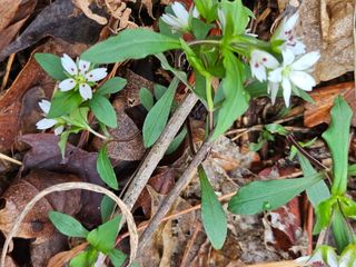 정완희 님의 기타작물 · 자유게시판 작성글 사진