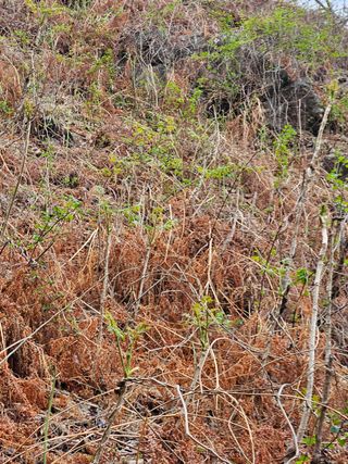 정완희 님의 기타작물 · 자유게시판 작성글 사진