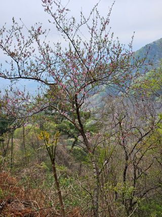 정완희 님의 기타작물 · 자유게시판 작성글 사진
