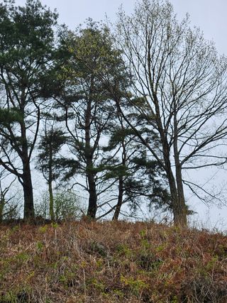 정완희 님의 기타작물 · 자유게시판 작성글 사진