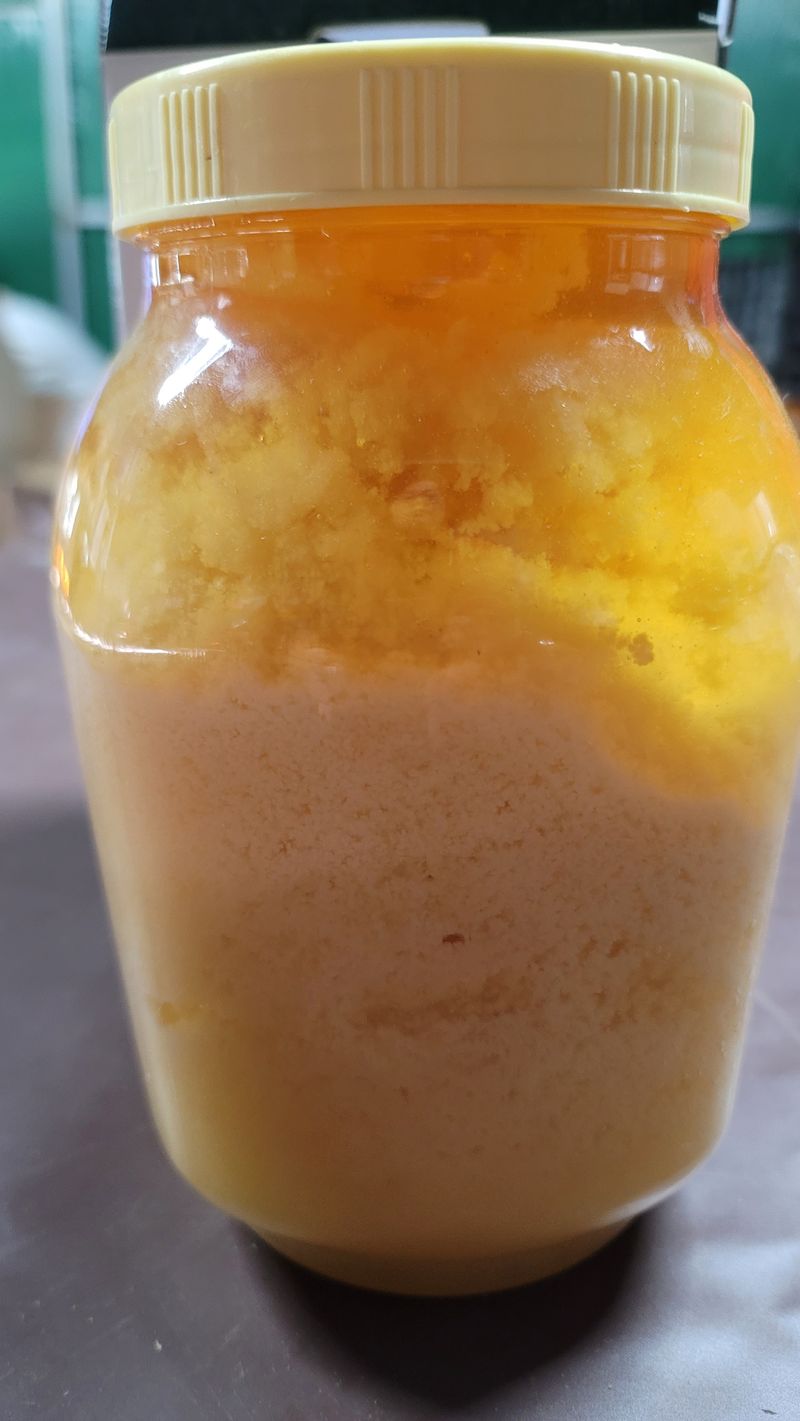 솔안골농장(이영선)님의 장터 판매 상품 [명이나물1kg.눈개승마1kg] 첨부 사진