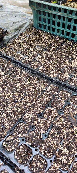 지재광님의 작성글 사진