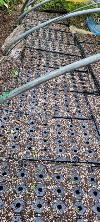 지재광님의 작성글 사진