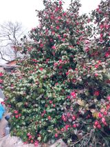 팜모닝 자유주제·자유게시판 게시글 이미지