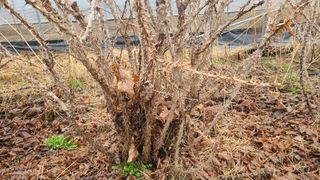 김호준님의 작성글 사진