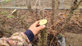 김호준님의 작성글 사진