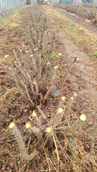 김호준님의 작성글 사진