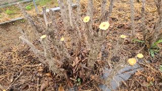 김호준님의 작성글 사진