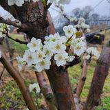 팜모닝 배·일상 게시글 이미지