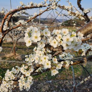 김은경님의 배 · 일상 작성글 사진