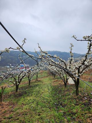 김은경님의 배 · 일상 작성글 사진