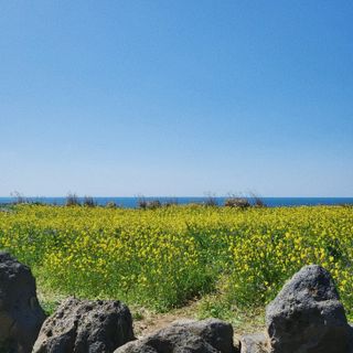 미량님의 자유주제 · 자유게시판 작성글 사진