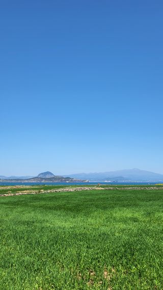 미량님의 자유주제 · 자유게시판 작성글 사진