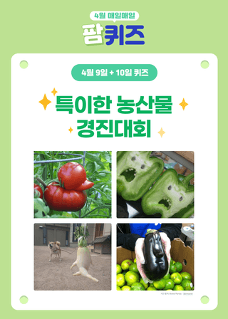 팜모닝님의 팜모닝공식 · 혜택 작성글 사진