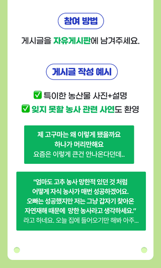 팜모닝님의 팜모닝공식 · 혜택 작성글 사진