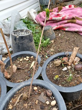 알 수 없음님의 기타작물 · 자유게시판 작성글 사진