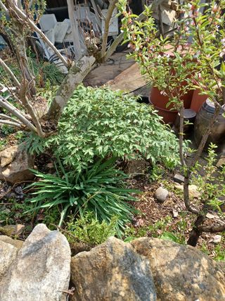 알 수 없음님의 기타작물 · 자유게시판 작성글 사진